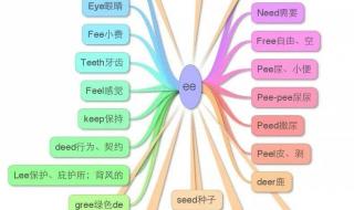 四年级英语易错知识点总结 初二英语上册知识点